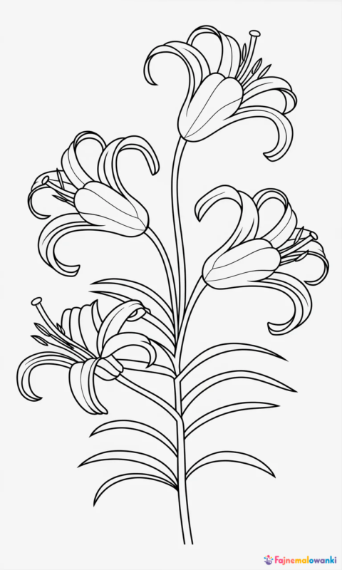 kolorowanka dla dzieci z pięknymi kwiatami lilii do pokolorowania