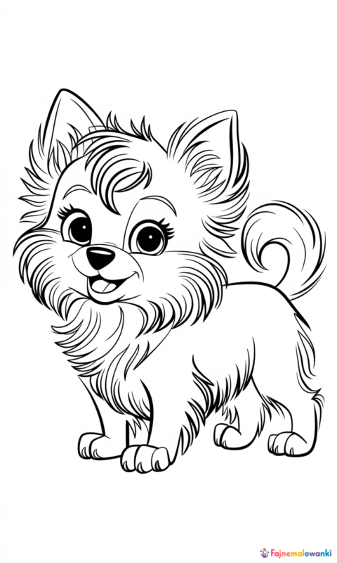 kolorowanka dla dzieci przedstawiająca małego puszystego pieska rasy chihuahua z długą sierścią do pokolorowania - kolorowanki z psami swietujmy razem miedzynarodowy dzien psa