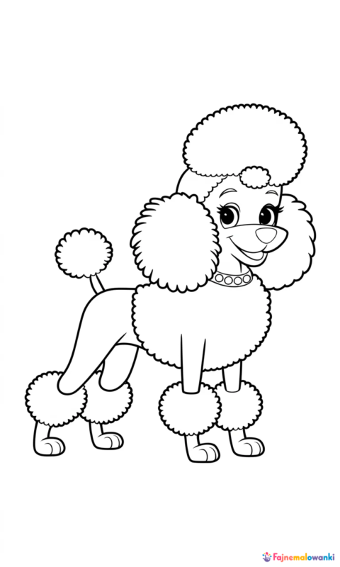 Kolorowanka dla dzieci przedstawiająca pieska pudla z charakterystyczną fryzurą i puszystym futrem do pokolorowania - kolorowanki sekretne życie zwierzaków domowych