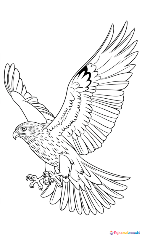 kolorowanka dla dzieci przedstawiająca ptaka drapieżnego w locie z rozpostartymi skrzydłami do pokolorowania - vaiana moana