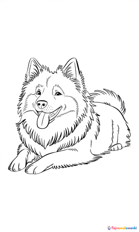 Kolorowanka psa domowego z puszystym futrem dla dzieci