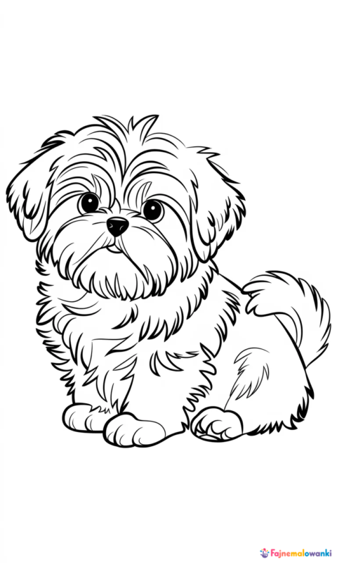 Kolorowanka dla dzieci przedstawiająca uroczego szczeniaka rasy Shih Tzu do pokolorowania